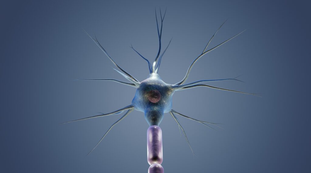 Dolori della sciatica - come riconoscerli e cosa fare
